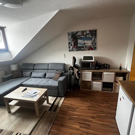 באייריש אייסנשטיין Family Apartment Sumava מראה חיצוני תמונה