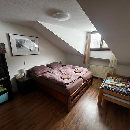 באייריש אייסנשטיין Family Apartment Sumava מראה חיצוני תמונה